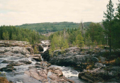 Storforsen 20.5.2017